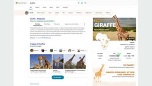 Microsoft Bing delivers more visually immersive experiences that save you time