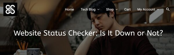 Website Status Checker